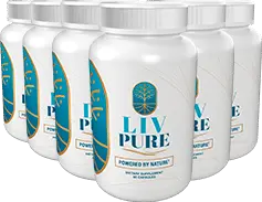 Liv Pure  - 6 bottles - image